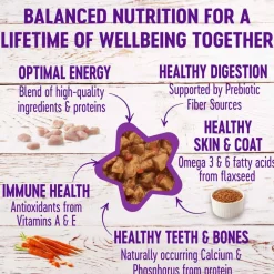 Best Wellness Complete Health Wellness Grain Free Minced Turkey Salmon Entree