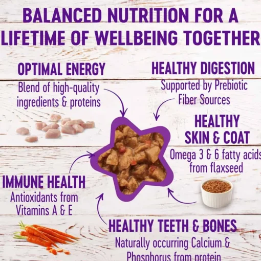 Best Wellness Complete Health Wellness Grain Free Minced Turkey Salmon Entree