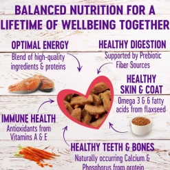 Sale Wellness Complete Health Wellness Grain Free Salmon Entree
