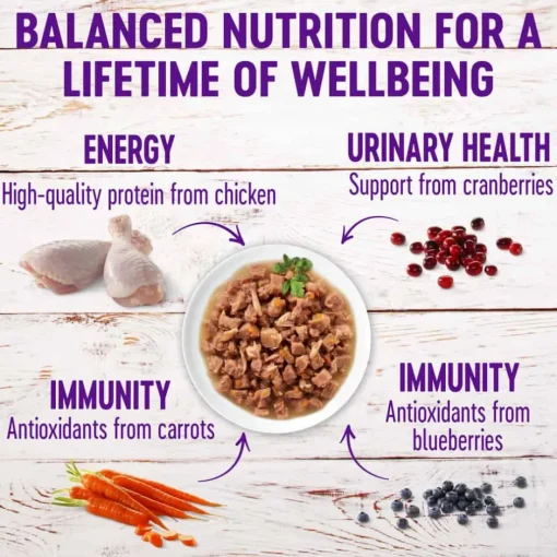New Wellness Complete Health Wellness Healthy Indulgence Morsels Chicken & Turkey Wet Cat Food