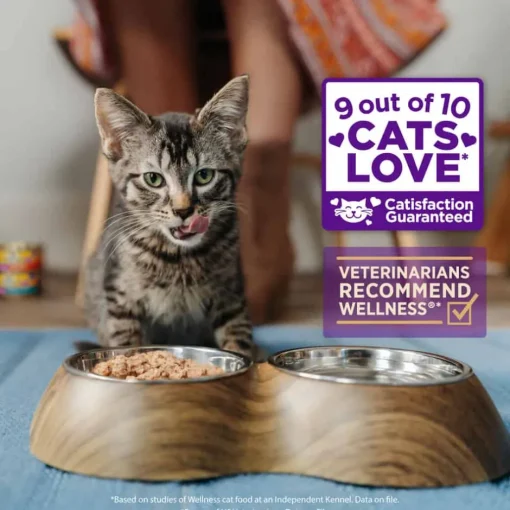 New Wellness Complete Health Wellness Healthy Indulgence Morsels Chicken & Turkey Wet Cat Food