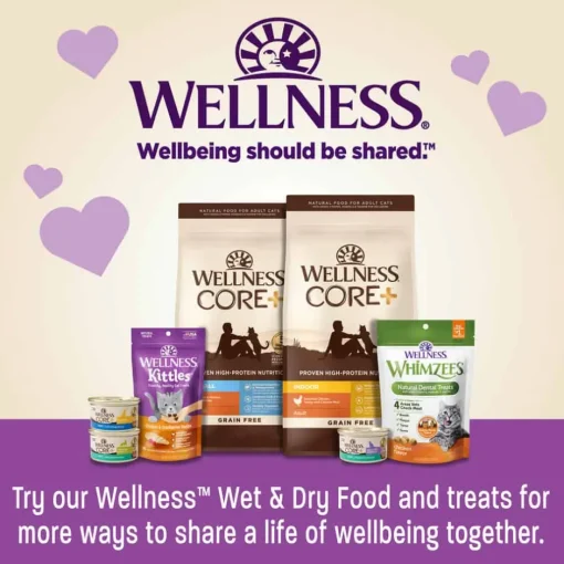 Best Wellness Kittles Crunchy Natural Grain Free Chicken & Cranberry Cat Treats