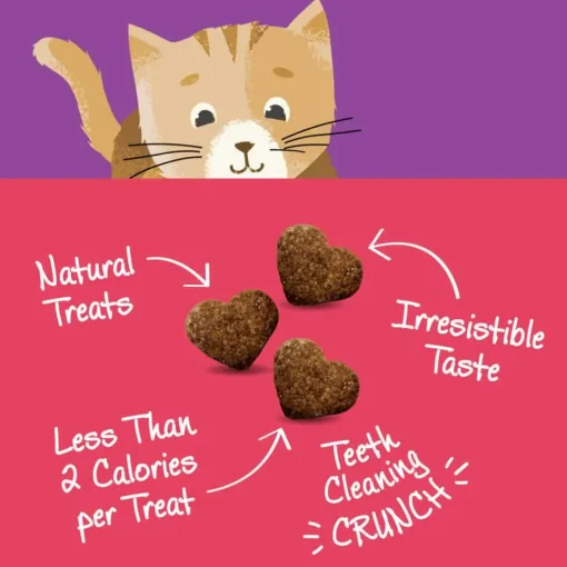 Outlet Wellness Kittles Crunchy Natural Grain Free Salmon & Cranberry Cat Treats