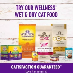 Outlet Wellness Kittles Crunchy Natural Grain Free Salmon & Cranberry Cat Treats