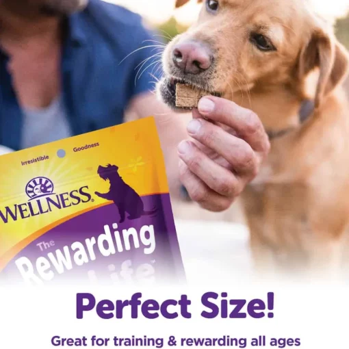 Clearance Wellness Rewarding Life Soft & Chewy Grain Free Chicken & Venison Dog Treats