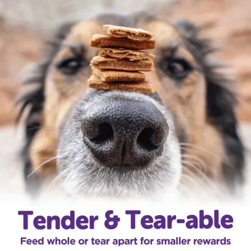 Clearance Wellness Rewarding Life Soft & Chewy Grain Free Chicken & Venison Dog Treats