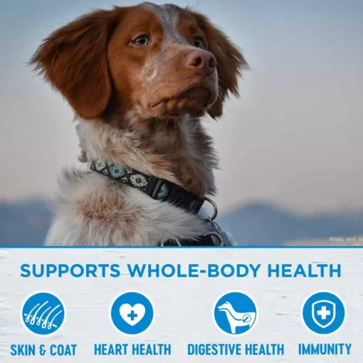 Fashion Wellness Simple Natural Grain Free Limited Ingredient Turkey & Potato Recipe Dry Dog Food