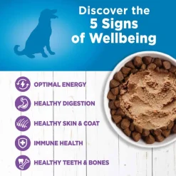 Best Wellness Simple Natural Grain Free Limited Ingredient Turkey & Potato Recipe Wet Dog Food
