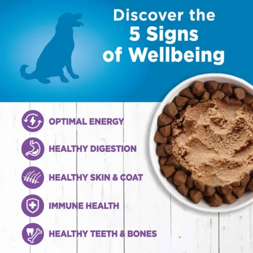 Best Wellness Simple Natural Grain Free Limited Ingredient Turkey & Potato Recipe Wet Dog Food