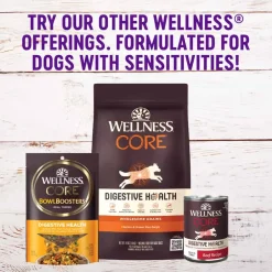 Best Wellness Simple Natural Grain Free Limited Ingredient Turkey & Potato Recipe Wet Dog Food