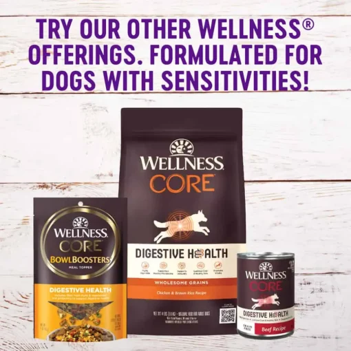 Best Wellness Simple Natural Grain Free Limited Ingredient Turkey & Potato Recipe Wet Dog Food