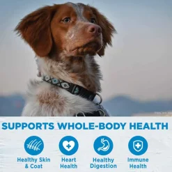 Fashion Wellness Simple Natural Limited Ingredient Lamb & Oatmeal Recipe Dry Dog Food