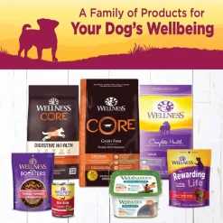 Discount Wellness Complete Health Wellness Small Breed Petite Entrees Mini-Filets Roasted Chicken, Beef, Carrots & Green Beans Grain Free Wet Dog Food