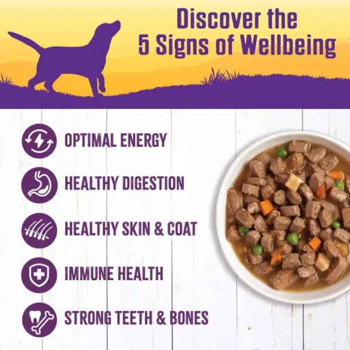 Fashion Wellness Complete Health Wellness Thick & Chunky Natural Grain Free Chicken Stew Canned Wet Dog Food