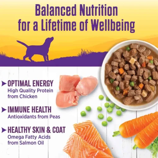 Fashion Wellness Complete Health Wellness Thick & Chunky Natural Grain Free Chicken Stew Canned Wet Dog Food
