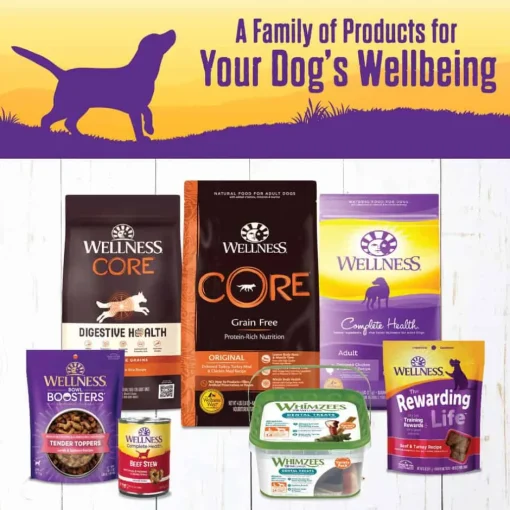 Fashion Wellness Complete Health Wellness Thick & Chunky Natural Grain Free Chicken Stew Canned Wet Dog Food