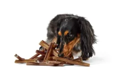 Best Woof BullySafe Chews - Pure Collagen - 6in