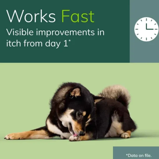 Fashion Zenrelia (Ilunocitinib Tablets) Once Daily Prescription Itch Relief for Dogs