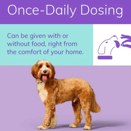 Fashion Zenrelia (Ilunocitinib Tablets) Once Daily Prescription Itch Relief for Dogs