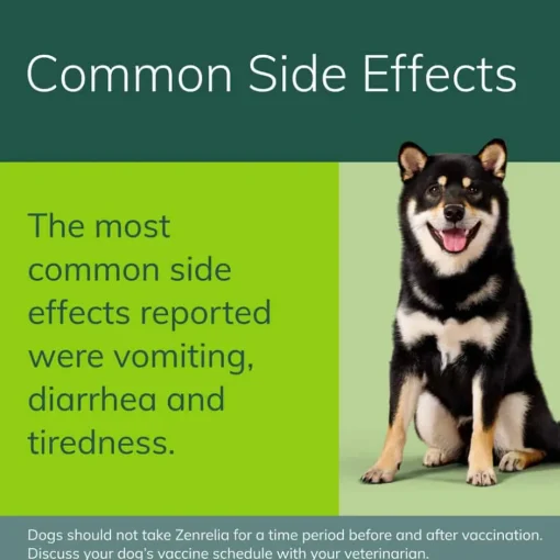 Fashion Zenrelia (Ilunocitinib Tablets) Once Daily Prescription Itch Relief for Dogs