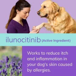 Fashion Zenrelia (Ilunocitinib Tablets) Once Daily Prescription Itch Relief for Dogs