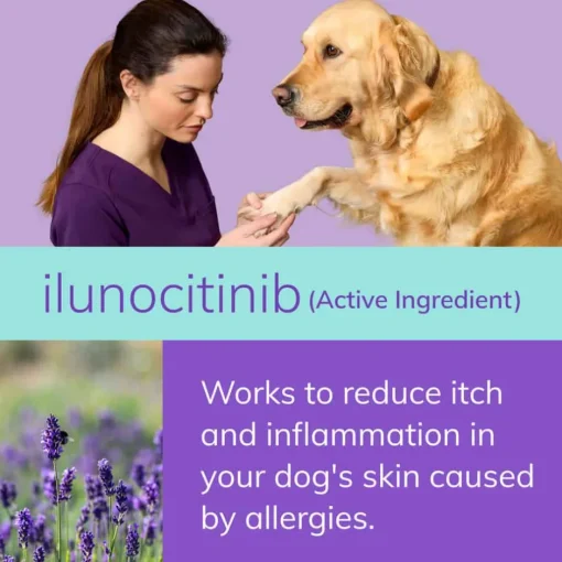 Fashion Zenrelia (Ilunocitinib Tablets) Once Daily Prescription Itch Relief for Dogs