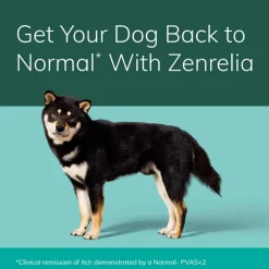 Fashion Zenrelia (Ilunocitinib Tablets) Once Daily Prescription Itch Relief for Dogs