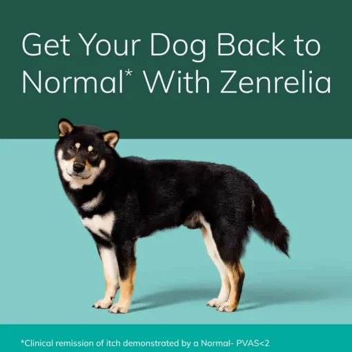 Fashion Zenrelia (Ilunocitinib Tablets) Once Daily Prescription Itch Relief for Dogs