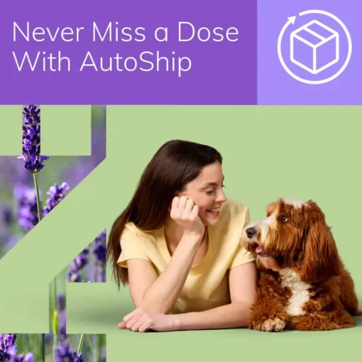 Fashion Zenrelia (Ilunocitinib Tablets) Once Daily Prescription Itch Relief for Dogs