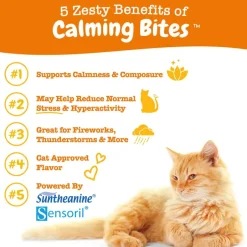 Hot Zesty Paws Calming Bites Bacon Flavored Soft Chew Behavior Supplement for Cats