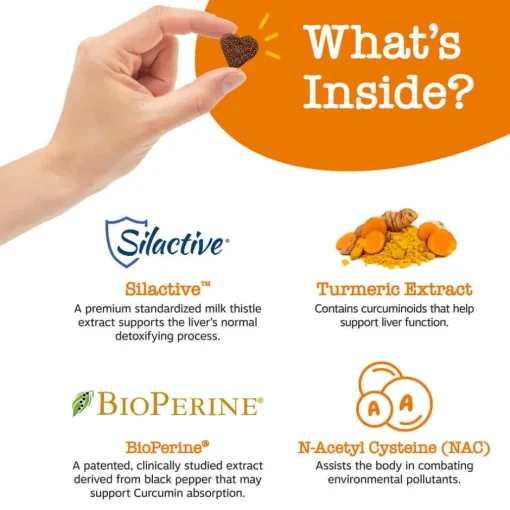 Fashion Zesty Paws Liver Support Bites™ Chicken Flavored Soft Chew Liver Supplement for Dogs
