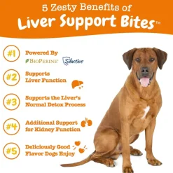 Fashion Zesty Paws Liver Support Bites™ Chicken Flavored Soft Chew Liver Supplement for Dogs